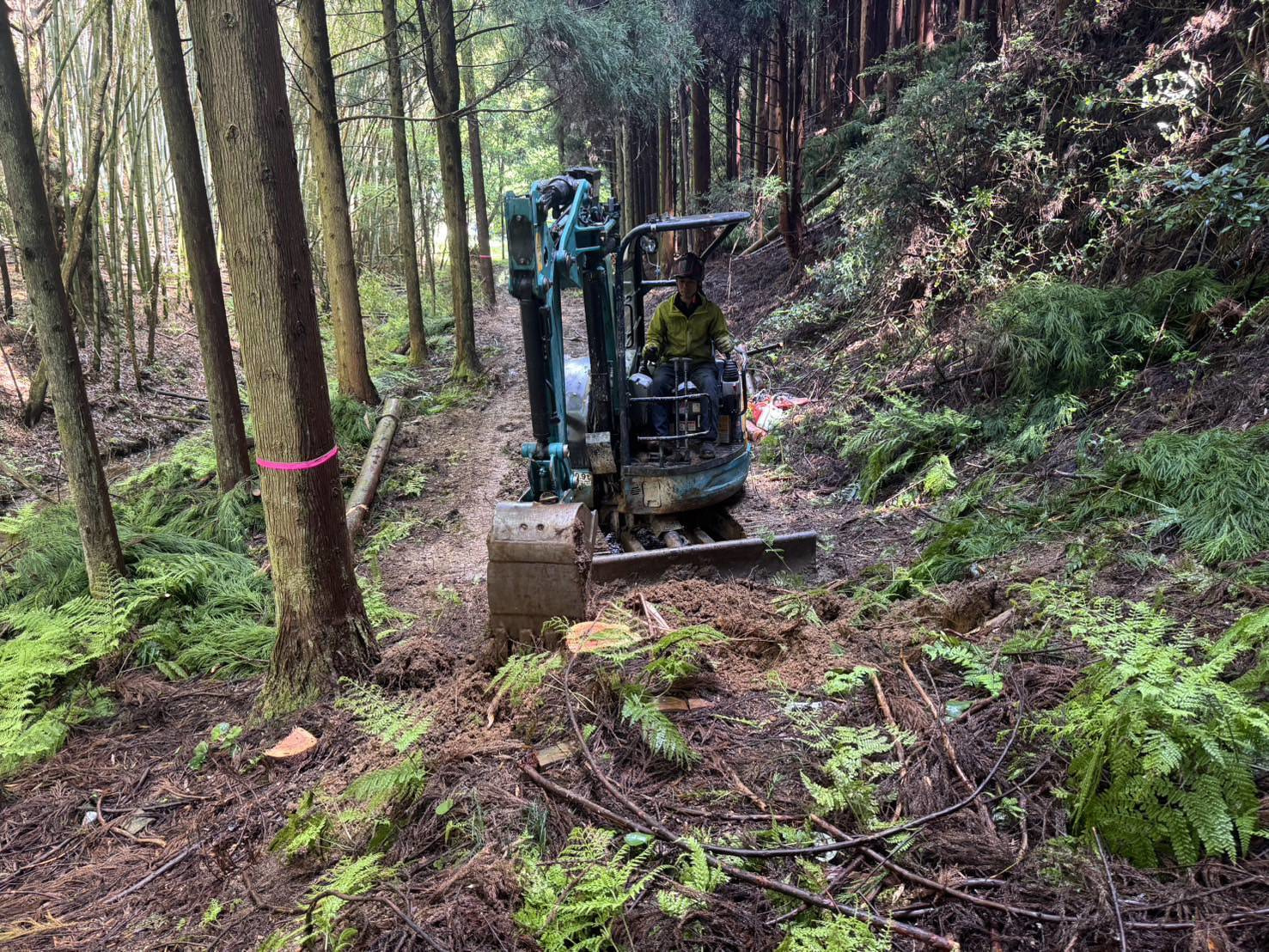 バックホウによる森林作業道開設作業